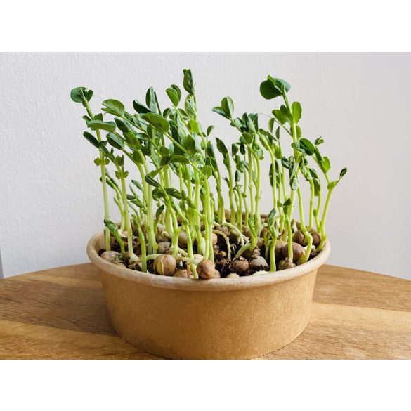 Zöldborsó "salad" mikrozöld és csíra mag 40g